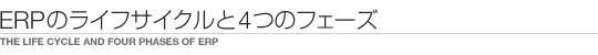 ERP̃CtTCN4̃tF[Y