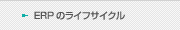 ERPのライフサイクル
